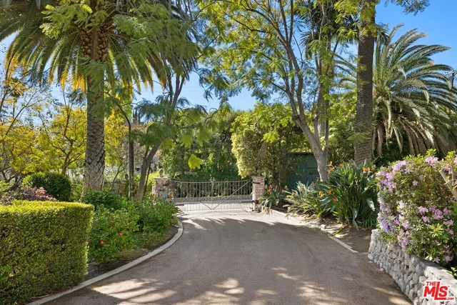 a view of a street with a tree