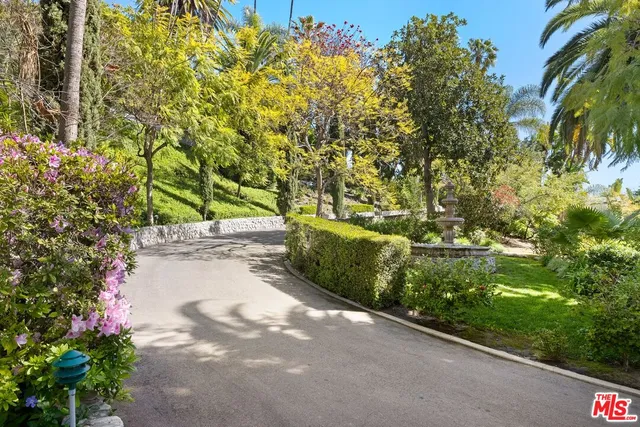 a view of a garden with plants