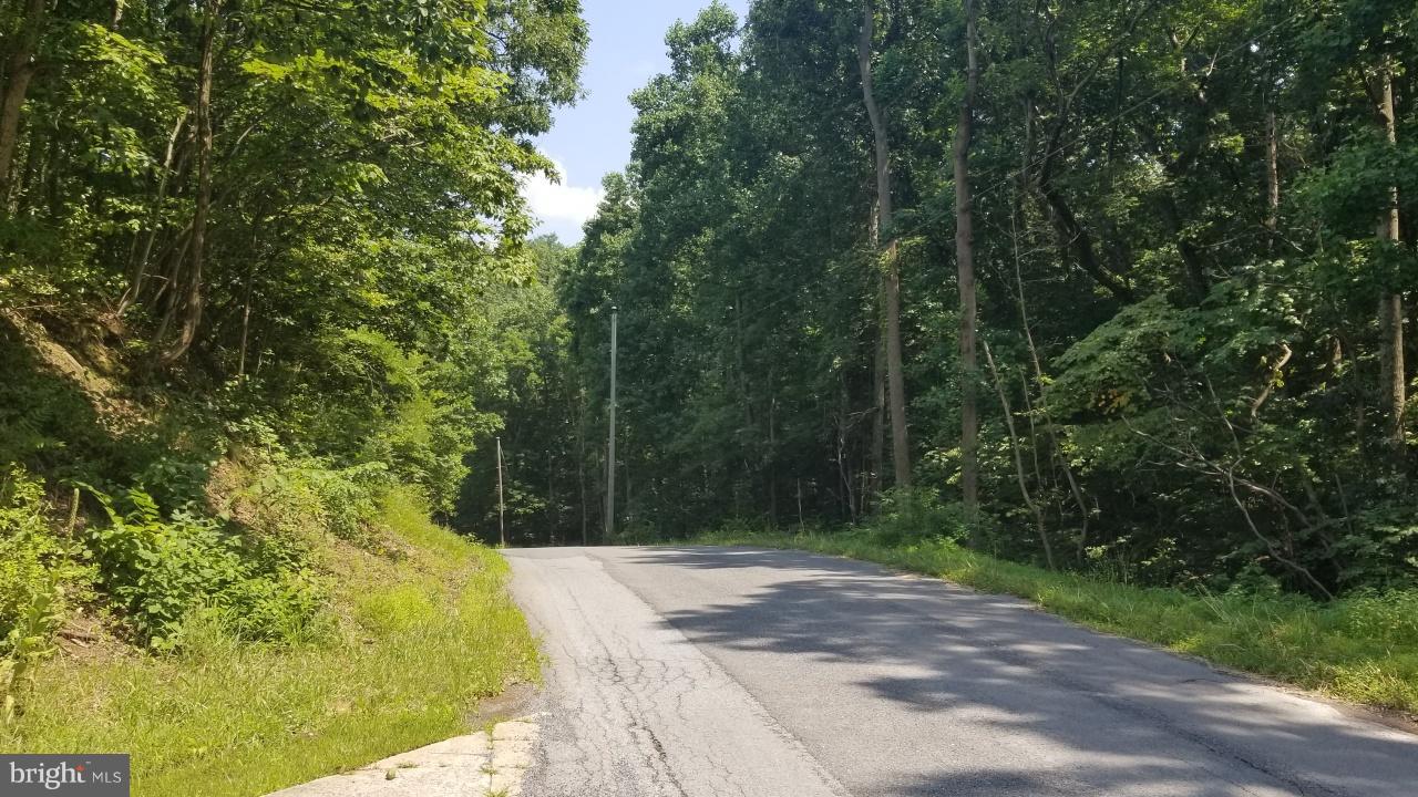272 County Rte 1/1 Berkeley Springs, WV 25411 - Photo 11 of 25 Exterior (General)