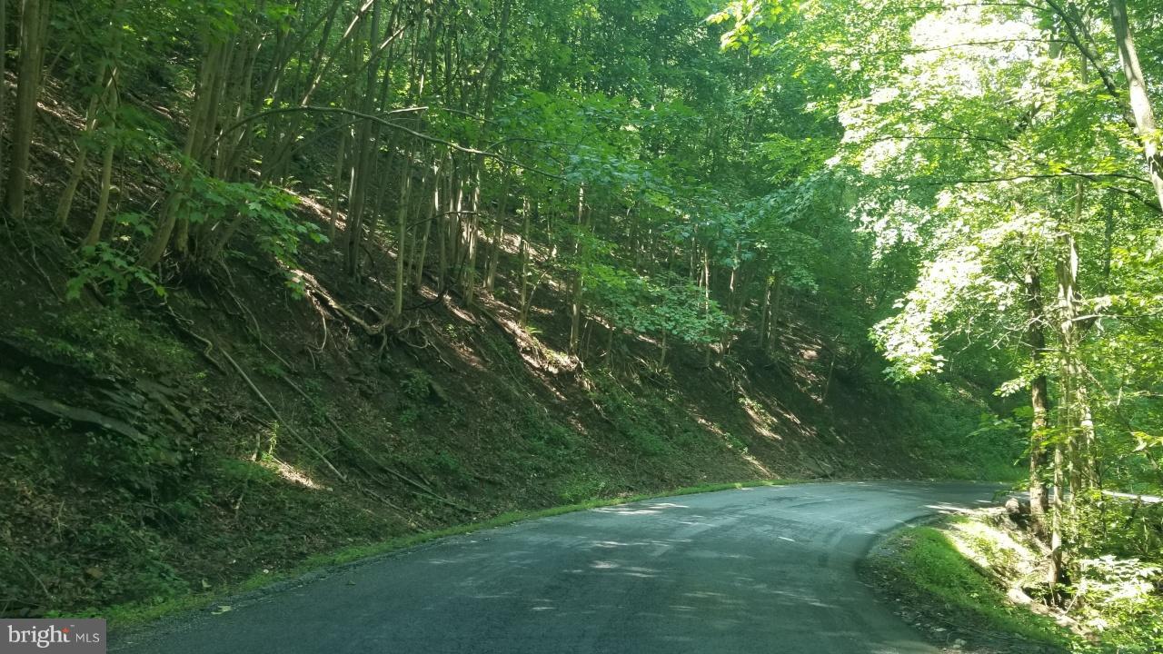 272 County Rte 1/1 Berkeley Springs, WV 25411 - Photo 14 of 25 Exterior (General)
