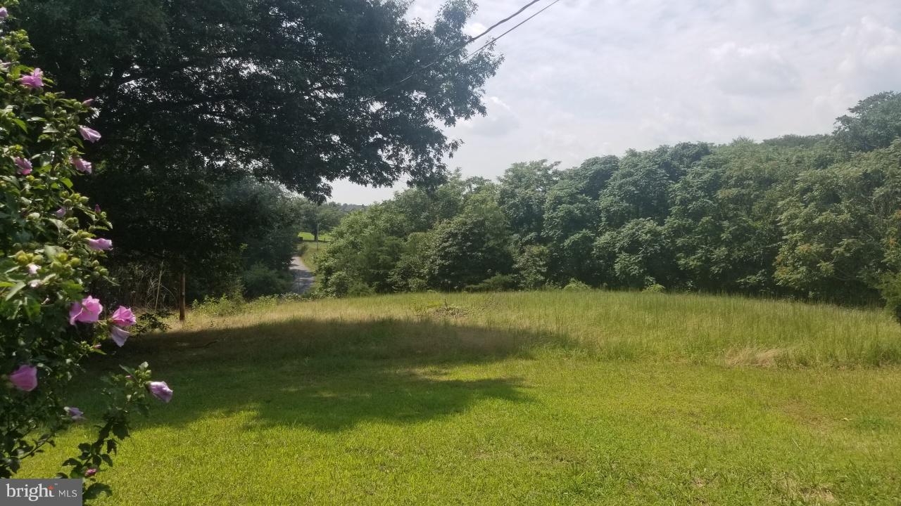 272 County Rte 1/1 Berkeley Springs, WV 25411 - Photo 16 of 25 Exterior (General)