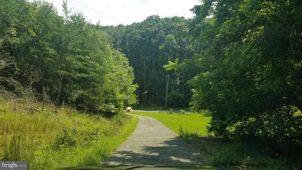 272 County Rte 1/1 Berkeley Springs, WV 25411 - Photo 4 of 25 Exterior (General)