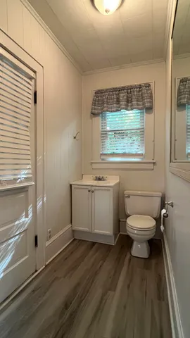 a bathroom with a toilet a sink and mirror