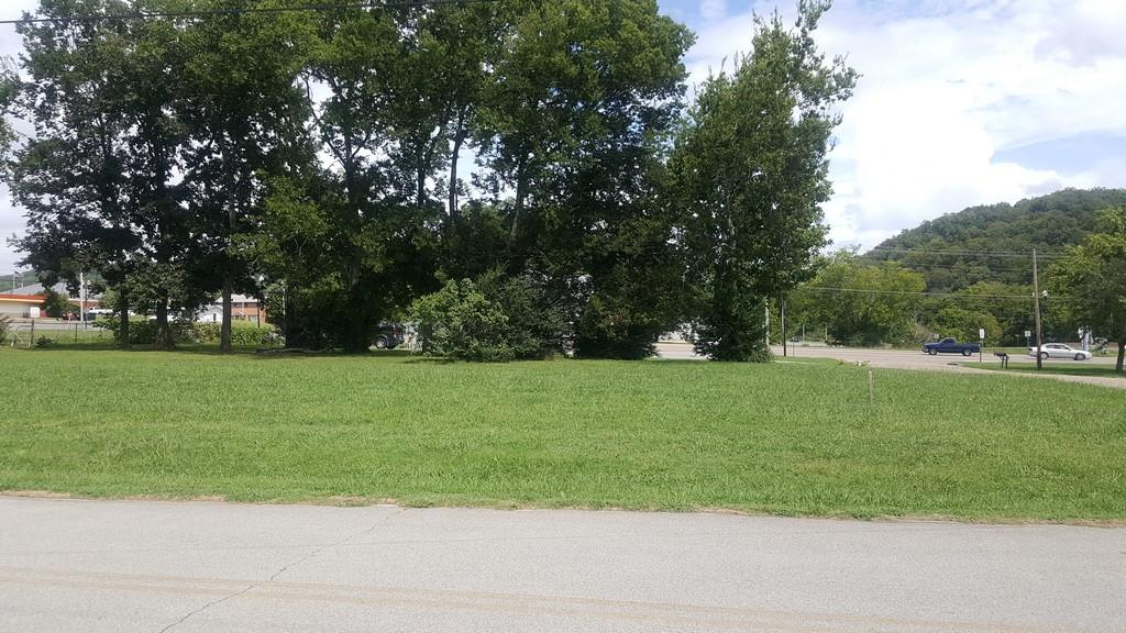 104 Sharon Avenue Decatur, TN 37322 - Photo 25 of 27 20170811_152022