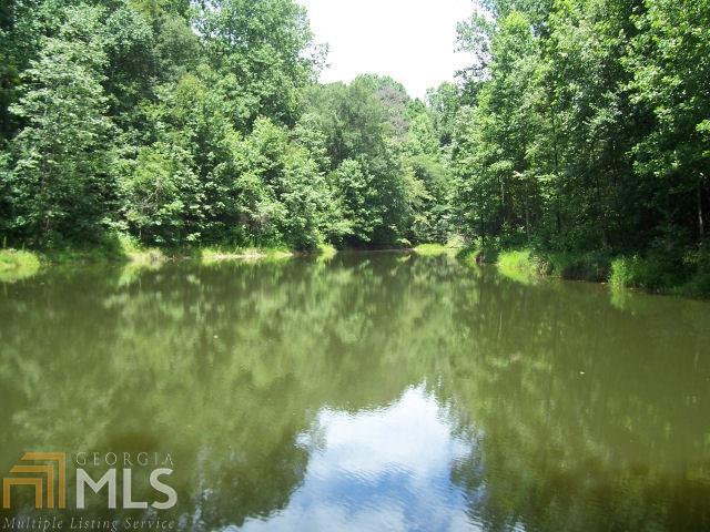 0 Pleasant Hill Road Martin, GA 30553 - Photo 1 of 1