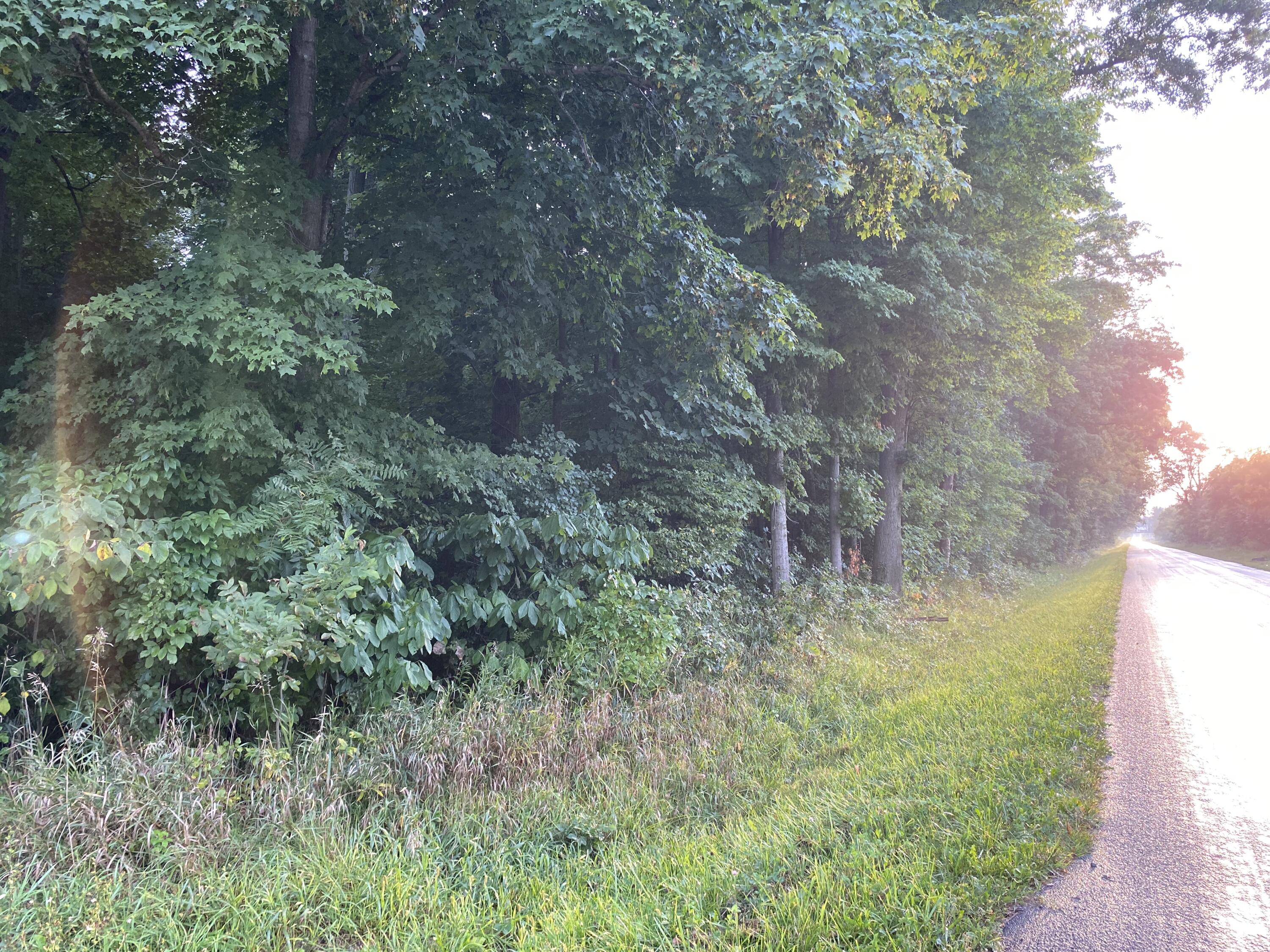 West Copeland Road, Unit 2 Bronson, MI 49028 - Photo 2 of 10 IMG_3896