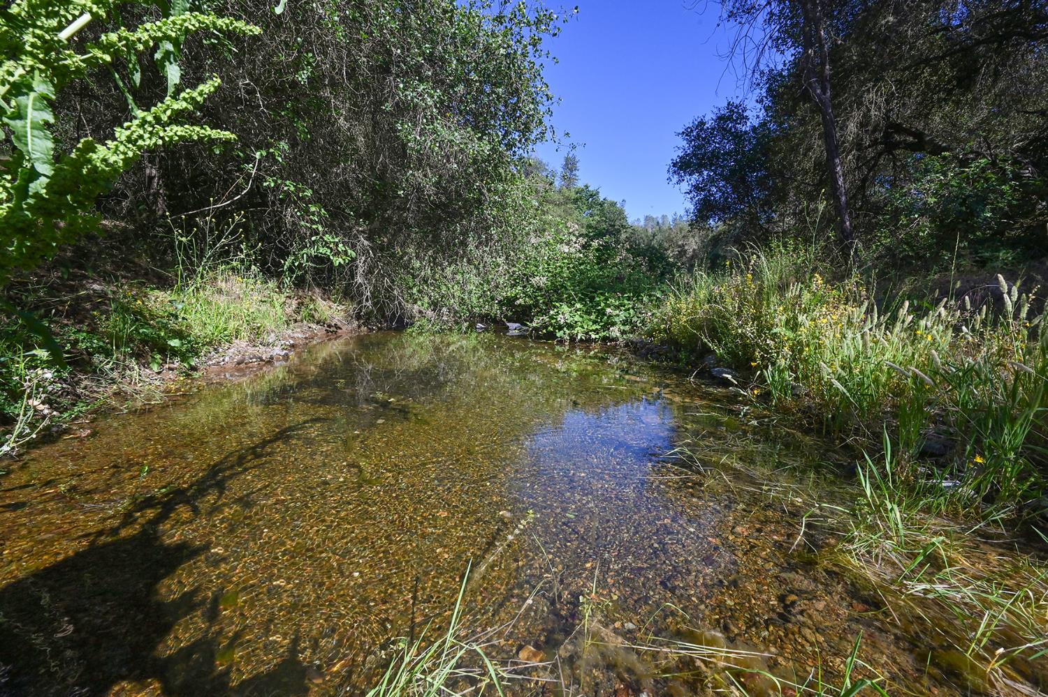5288 Rattlesnake Bar Road Pilot Hill, CA 95664 - Photo 30 of 45 Seasonal Stream