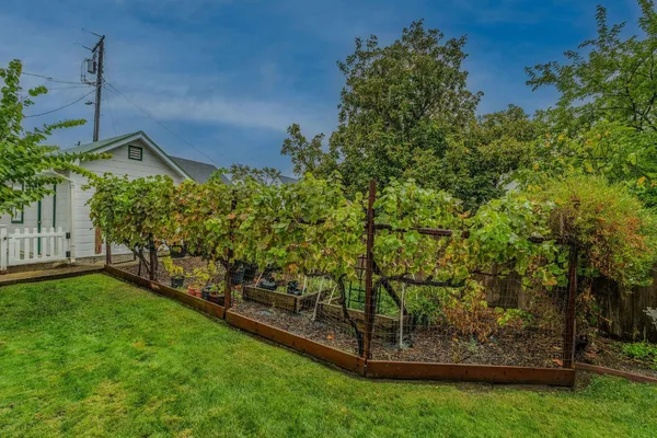 a view of a back yard of the house