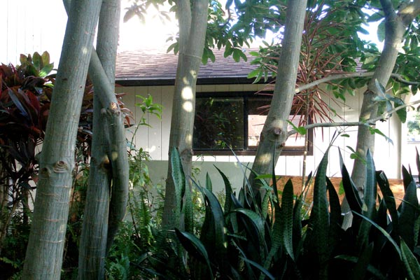 1291 Puuopae Road Kapaa, HI 96746 - Photo 4 of 25 a view of backyard