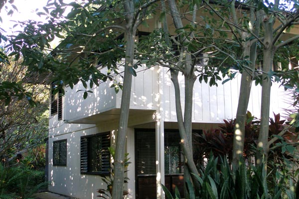 1291 Puuopae Road Kapaa, HI 96746 - Photo 5 of 25 a view of a house with a tree