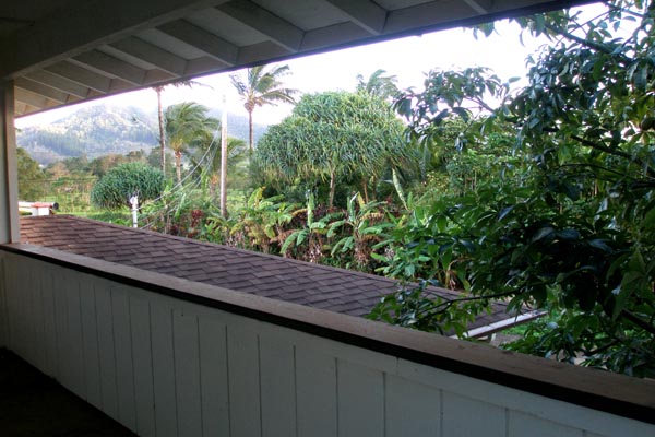 1291 Puuopae Road Kapaa, HI 96746 - Photo 6 of 25 a view of a garden from a balcony