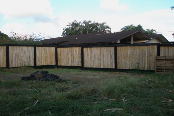 1291 Puuopae Road Kapaa, HI 96746 - Photo 7 of 25 a view of backyard with green space