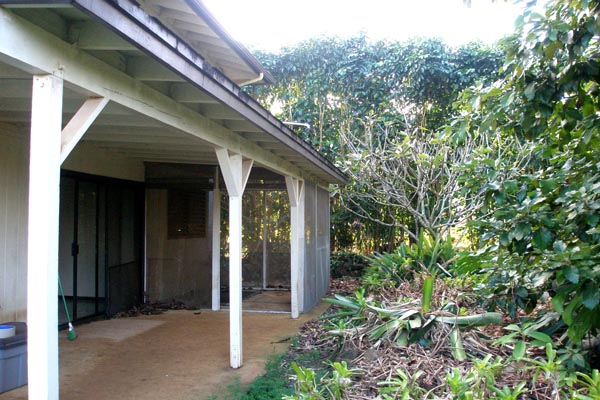 1291 Puuopae Road Kapaa, HI 96746 - Photo 8 of 25 a view of a house with a tree