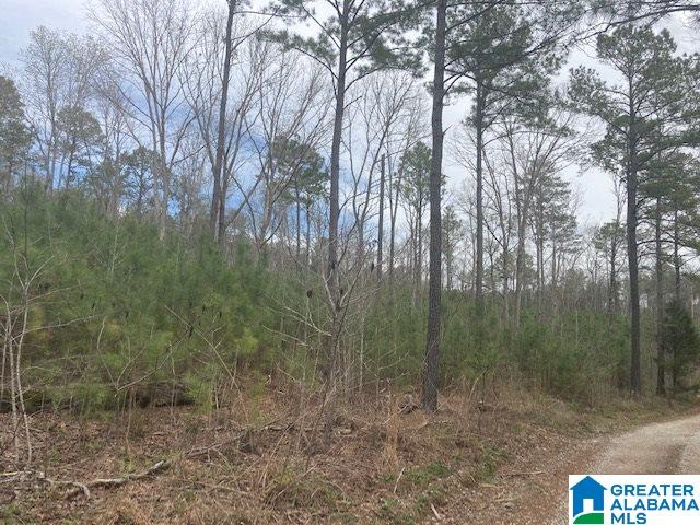 Lambert Road, Unit 9 Cragford, AL 36255 - Photo 1 of 3