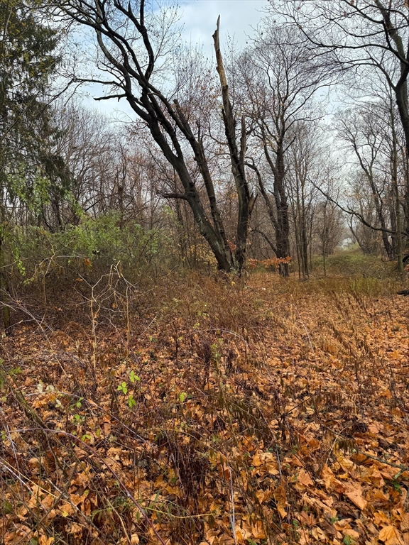 1889 Elm Street Dighton, MA 02715 - Photo 4 of 4 a backyard of a house with lots of green space