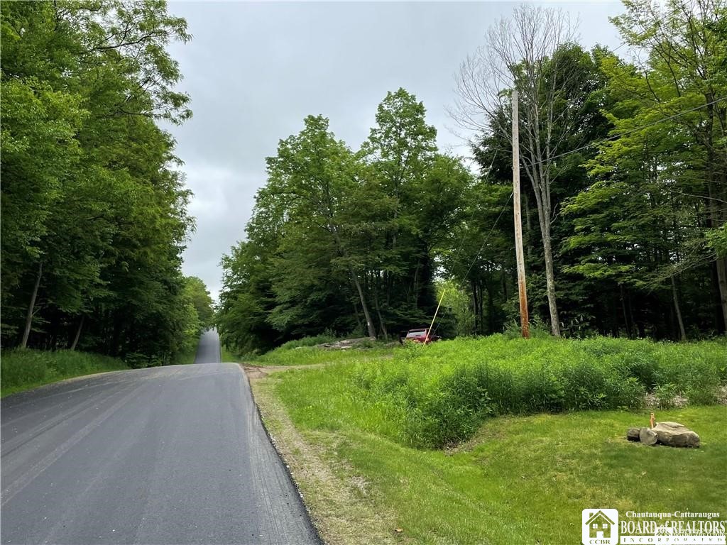 0 Luce Road Bemus Point, NY 14712 - Photo 2 of 39