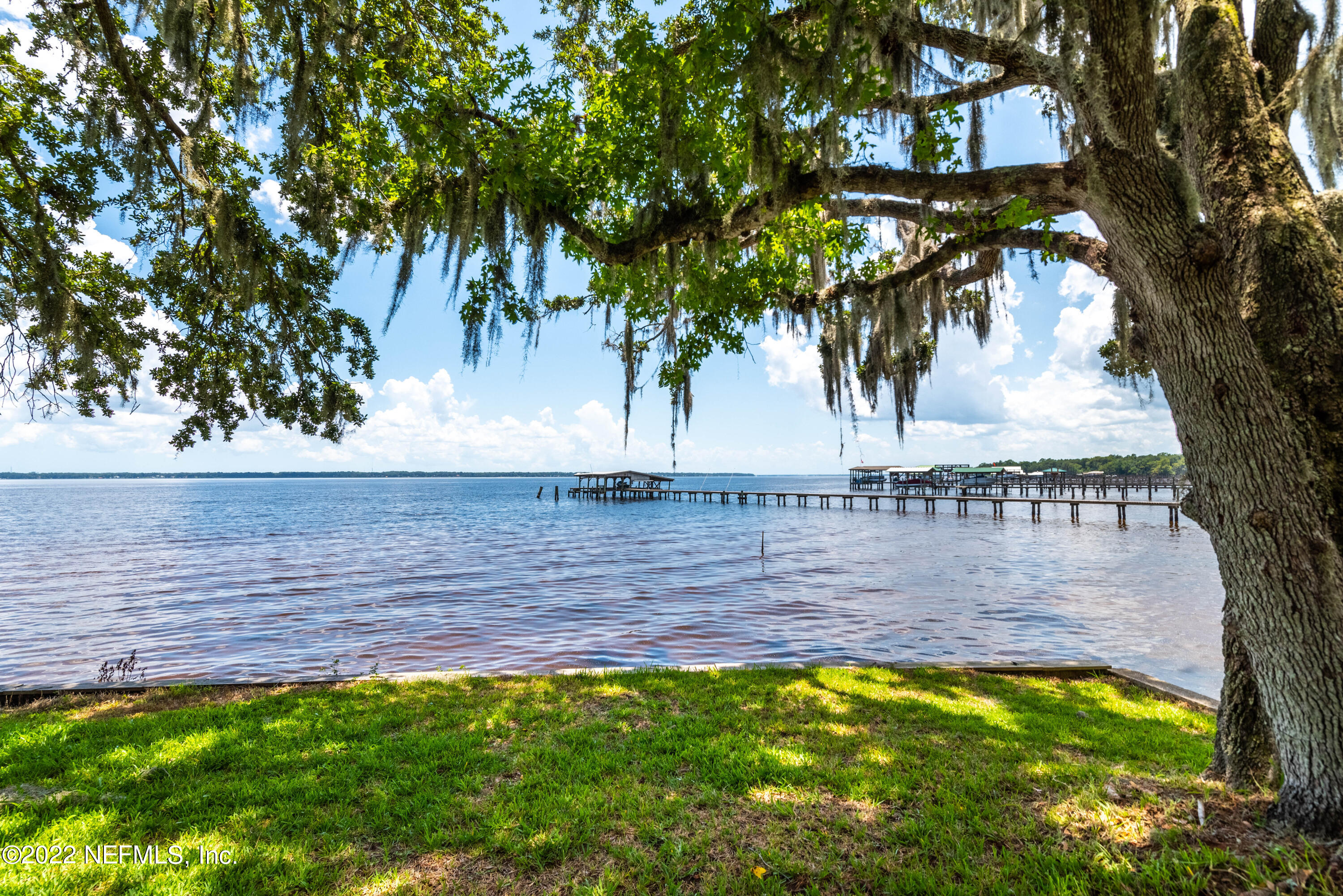 5345 Pine Avenue Fleming Island, FL 32003 - Photo 33 of 39 a view of a yard with large trees
