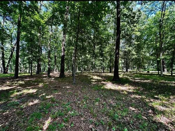 $18,000 | 220 Beyers Lake Road, Pana, IL 62557