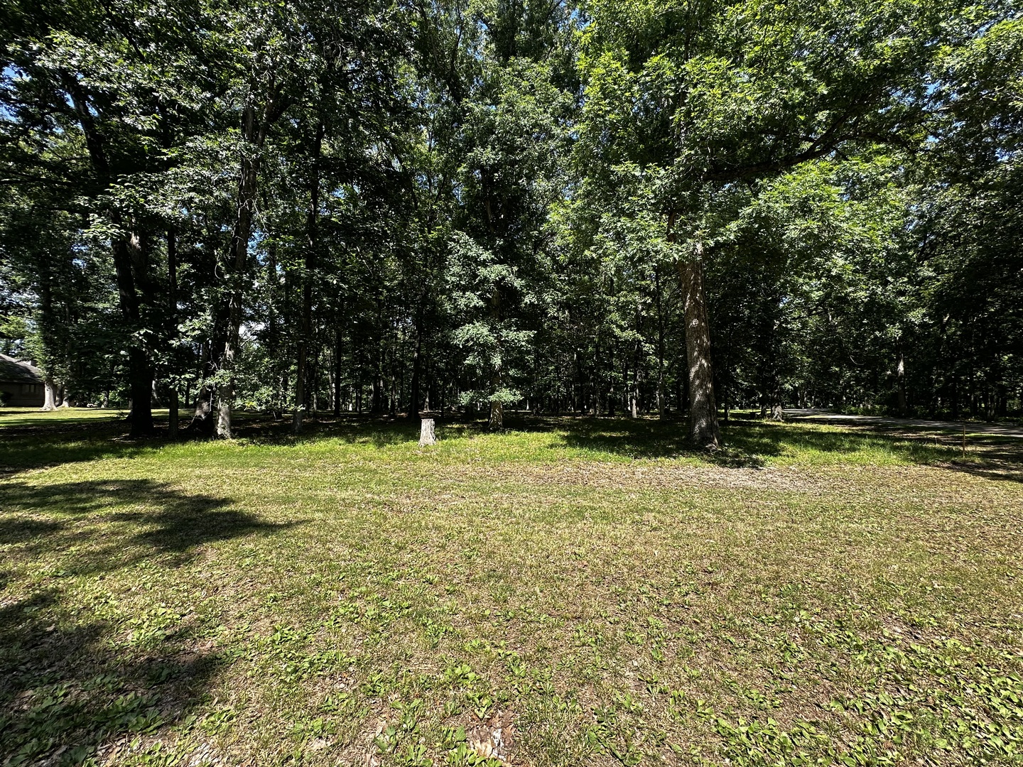 220 Beyers Lake Road Pana, IL 62557 - Photo 2 of 4