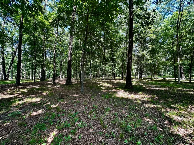 $18,000 | 220 Beyers Lake Road, Pana, IL 62557