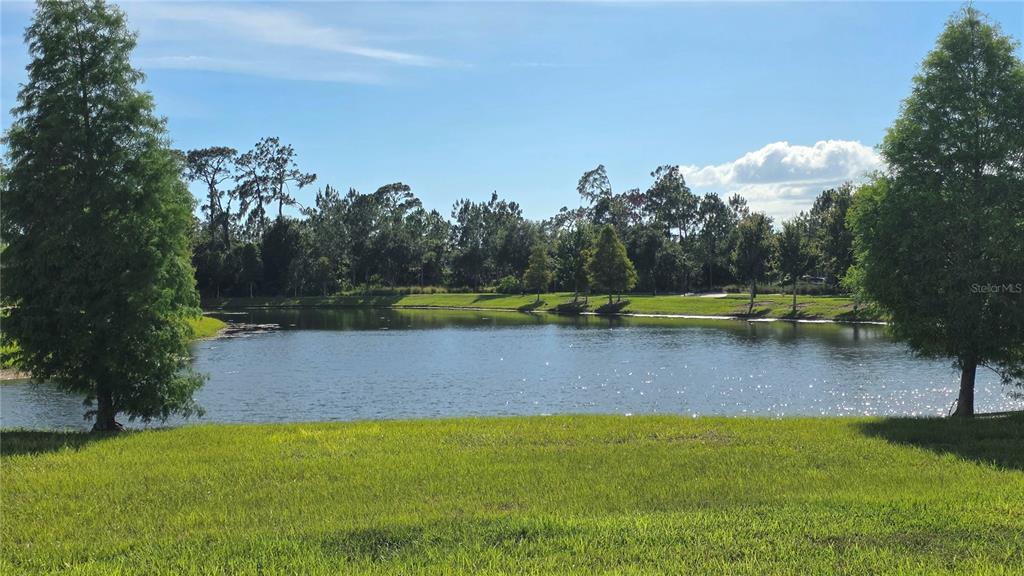 11911 Sand Myrtle Road Riverview, FL 33579 - Photo 73 of 78 Gallery Image 73