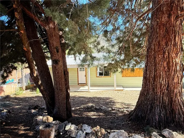 a view of a yard with a tree