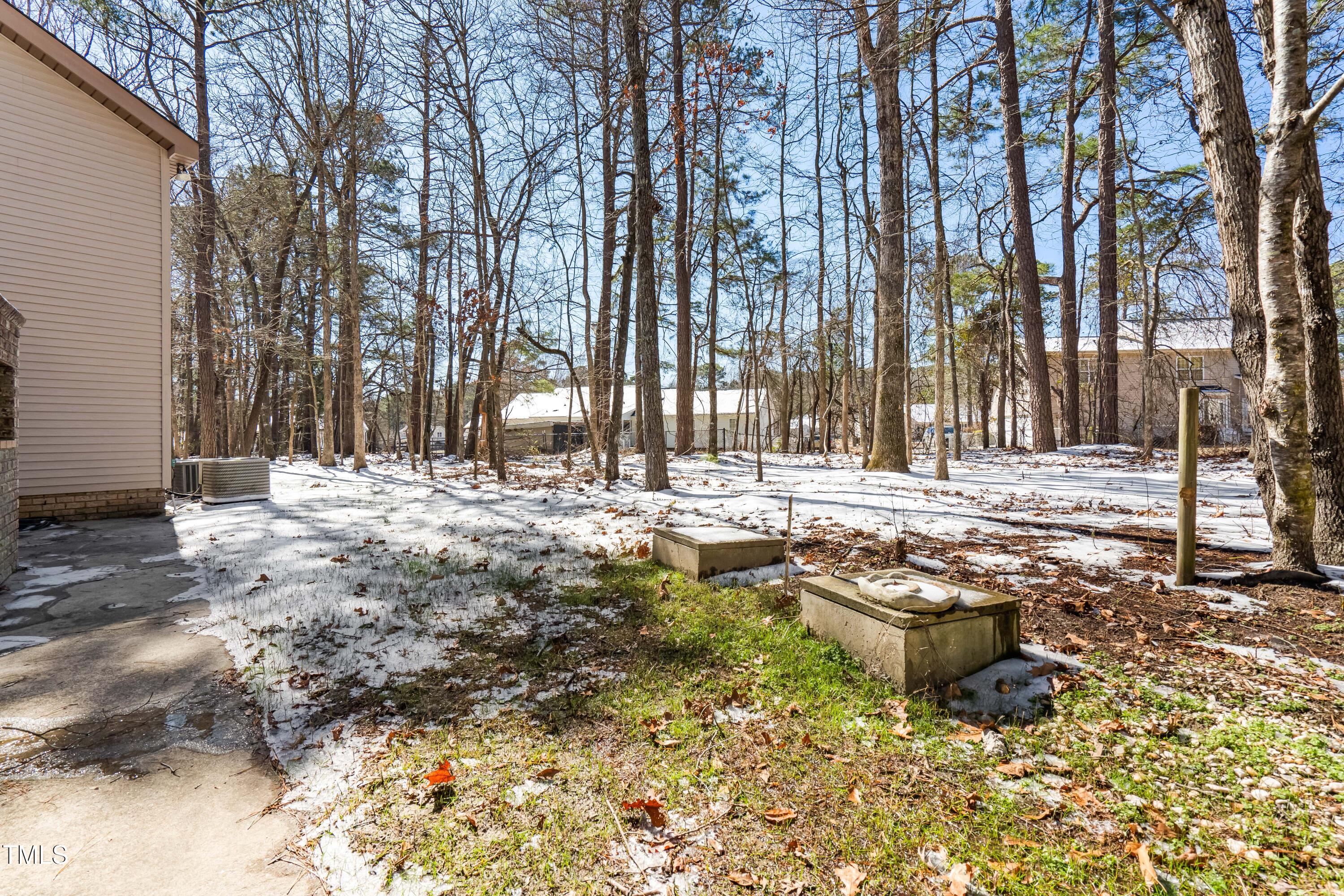 316 Russ Road Smithfield, NC 27577 - Photo 41 of 50 Backyard