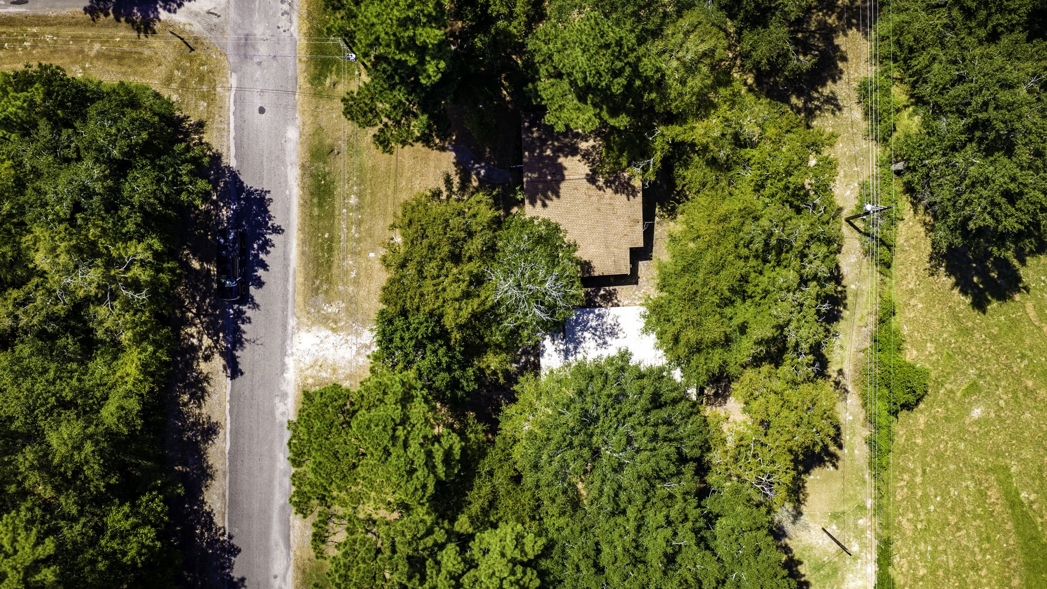 81 Westlake Road Trinity, TX 75862 - Photo 22 of 25 Nestled amidst lush greenery, this charming home offers a private, serene setting, perfect for nature lovers seeking tranquility.
