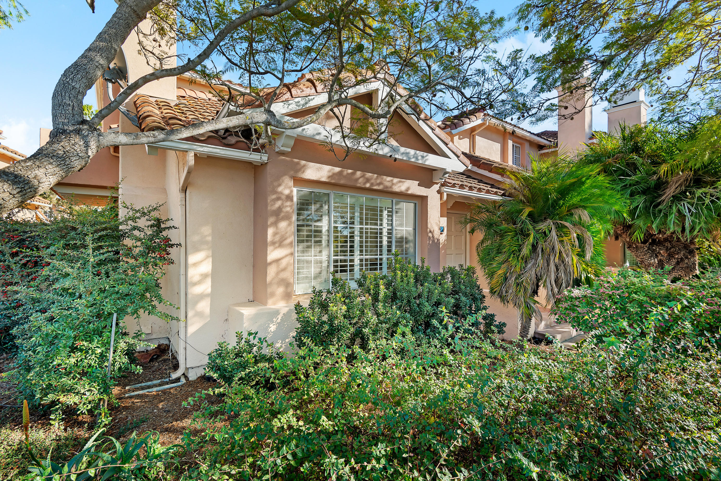 310 La Salle Road Goleta, CA 93117 - Photo 14 of 17 Lush Landscaping