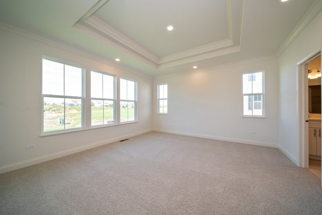 9271 Ramsdell Street Huntley, IL 60142 - Photo 16 of 21 Gallery Image 16
