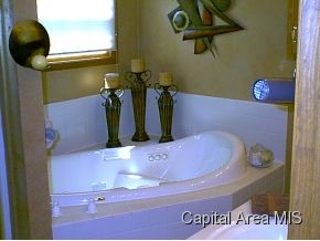 3920 Surry Pl Lane Springfield, IL 62711 - Photo 9 of 10