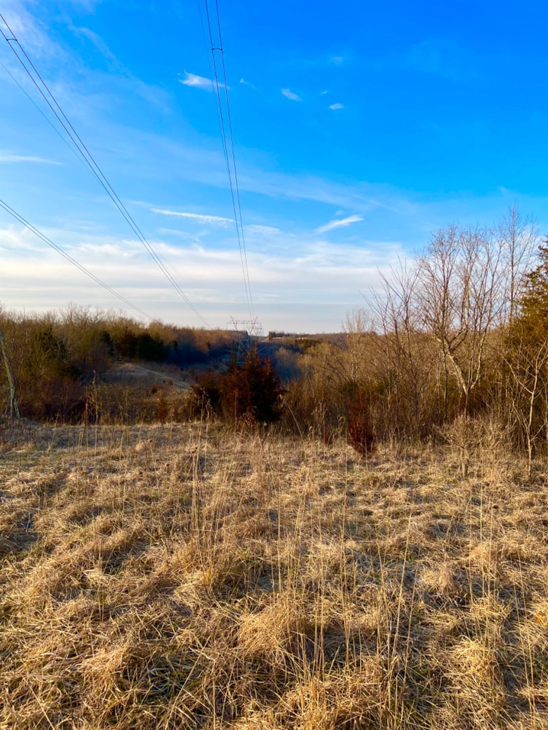 0 Ridgeland Road Manchester, OH 45144 - Photo 10 of 35