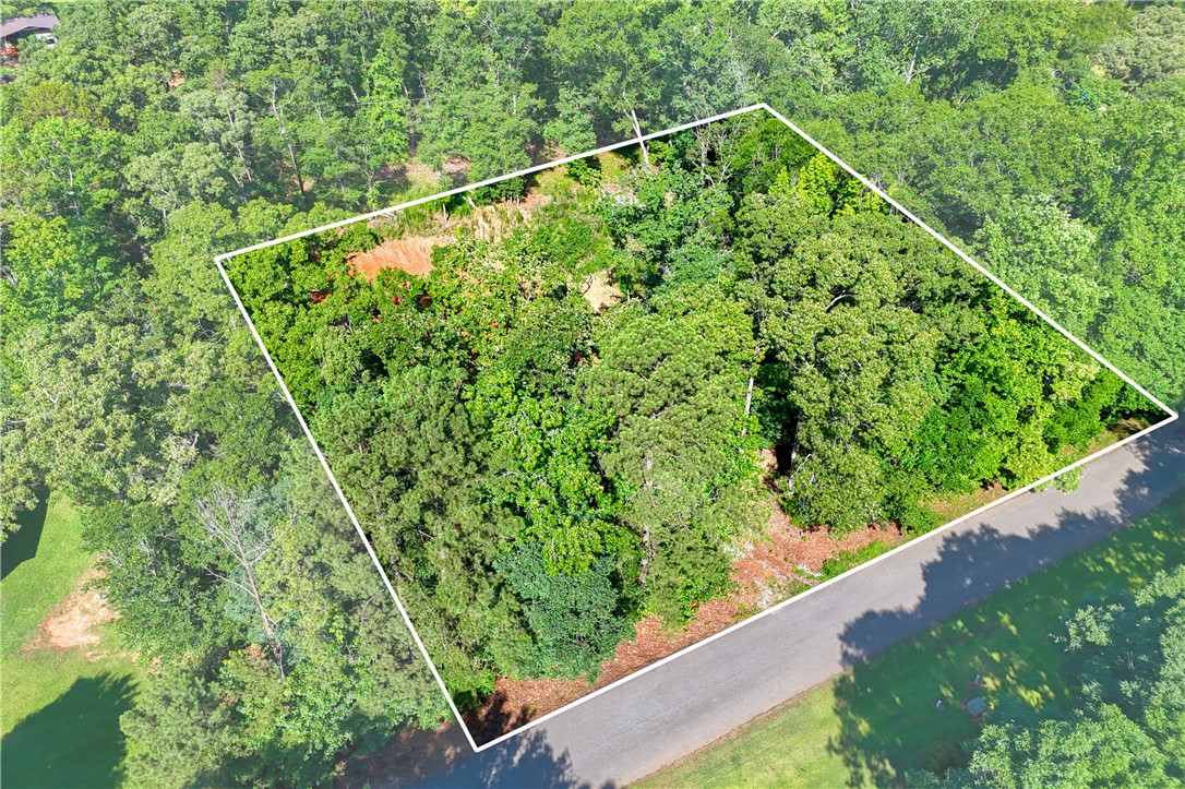 1020 Green Willow Trail Anderson, SC 29621 - Photo 9 of 28 Mature trees define the boundaries of this secluded residential lot.