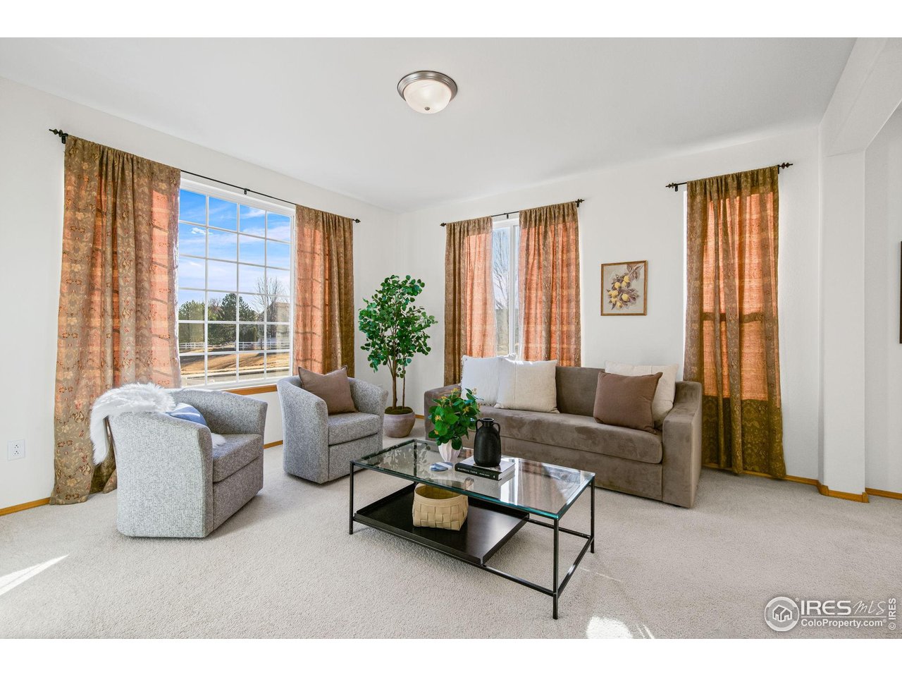 7133 Ranger Drive Fort Collins, CO 80526 - Photo 8 of 33 a living room with furniture and floor to ceiling windows