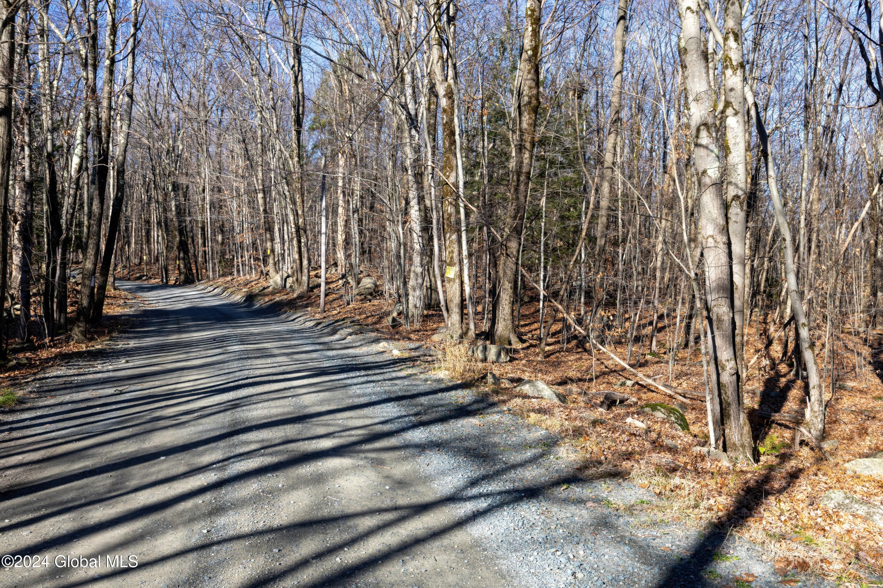 Lot 2 Fire Tower Road Petersburg, NY 12138 - Photo 1 of 22 1 (19)