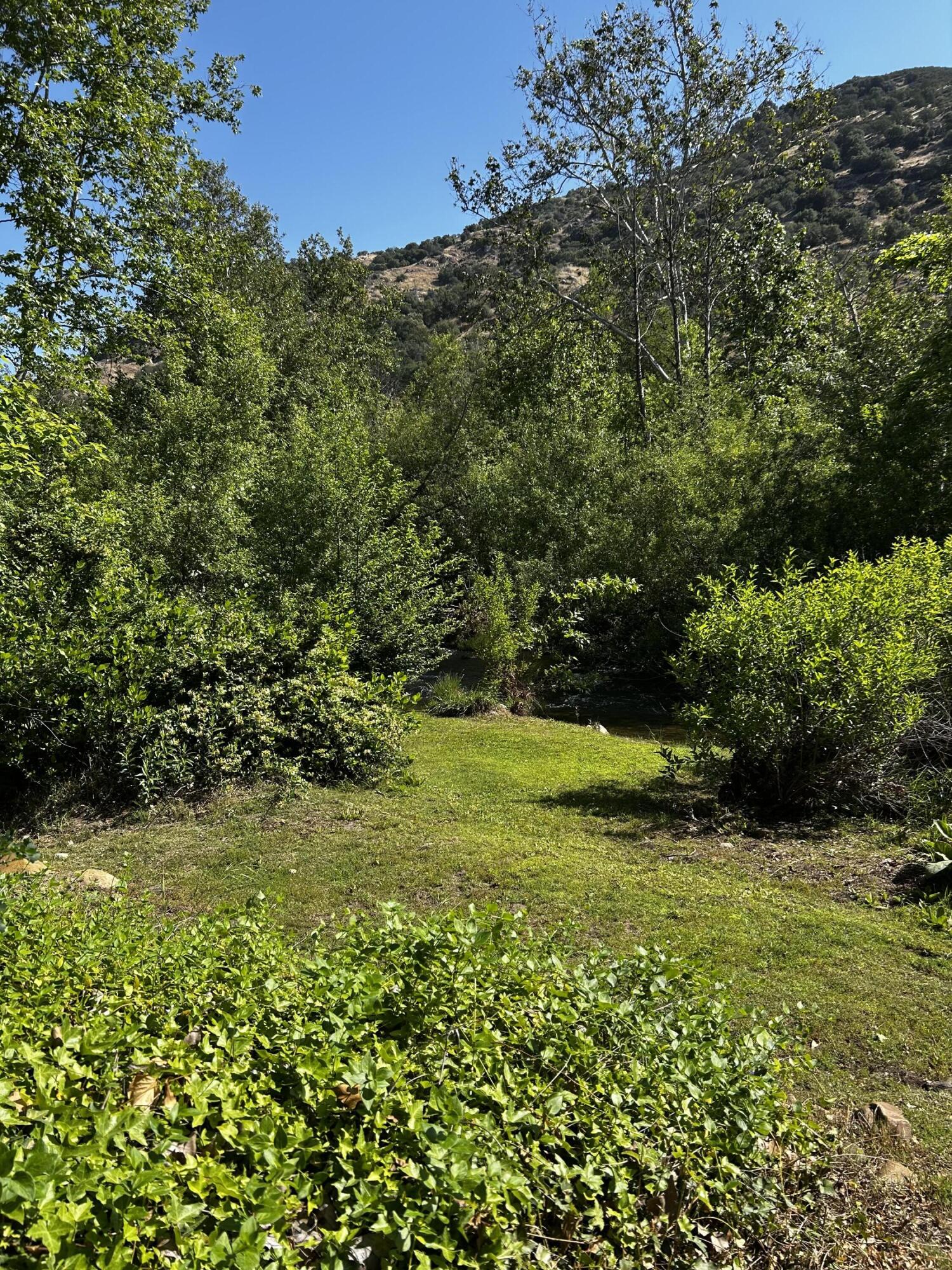 43788 Northfork Drive Three Rivers, CA 93271 - Photo 55 of 59 IMG_1049