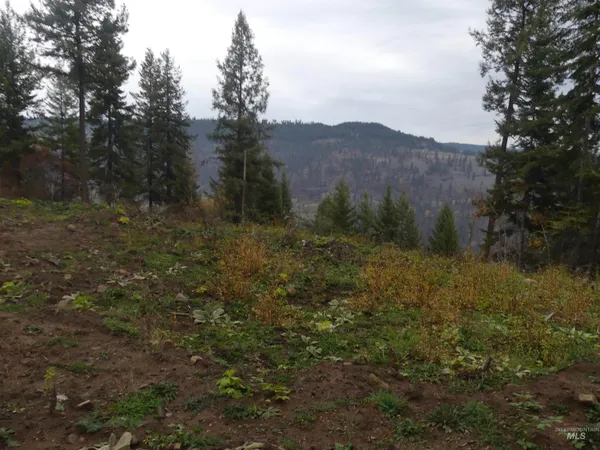 $129,900 | 1684 Tranquil Lane, Orofino, ID 83544