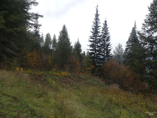 $129,900 | 1684 Tranquil Lane, Orofino, ID 83544