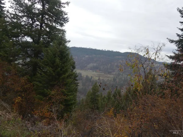$129,900 | 1684 Tranquil Lane, Orofino, ID 83544