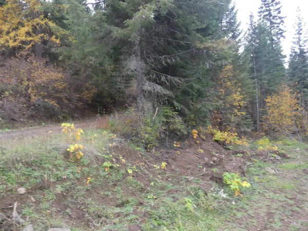 $129,900 | 1684 Tranquil Lane, Orofino, ID 83544