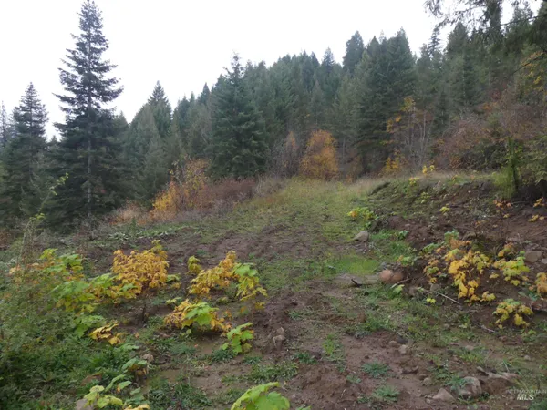 $129,900 | 1684 Tranquil Lane, Orofino, ID 83544