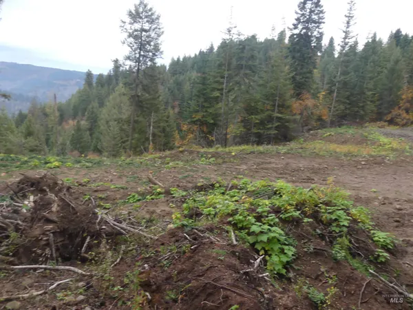 $129,900 | 1684 Tranquil Lane, Orofino, ID 83544