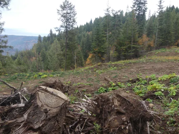 $129,900 | 1684 Tranquil Lane, Orofino, ID 83544