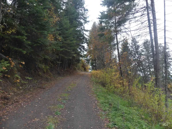 $129,900 | 1684 Tranquil Lane, Orofino, ID 83544