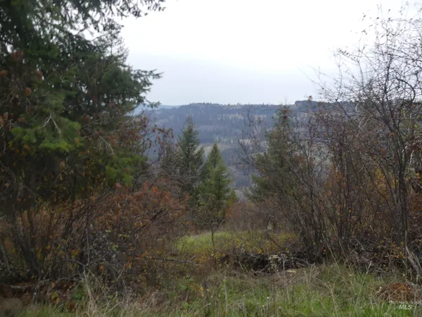 $129,900 | 1684 Tranquil Lane, Orofino, ID 83544