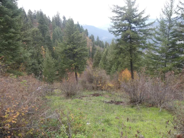 $129,900 | 1684 Tranquil Lane, Orofino, ID 83544