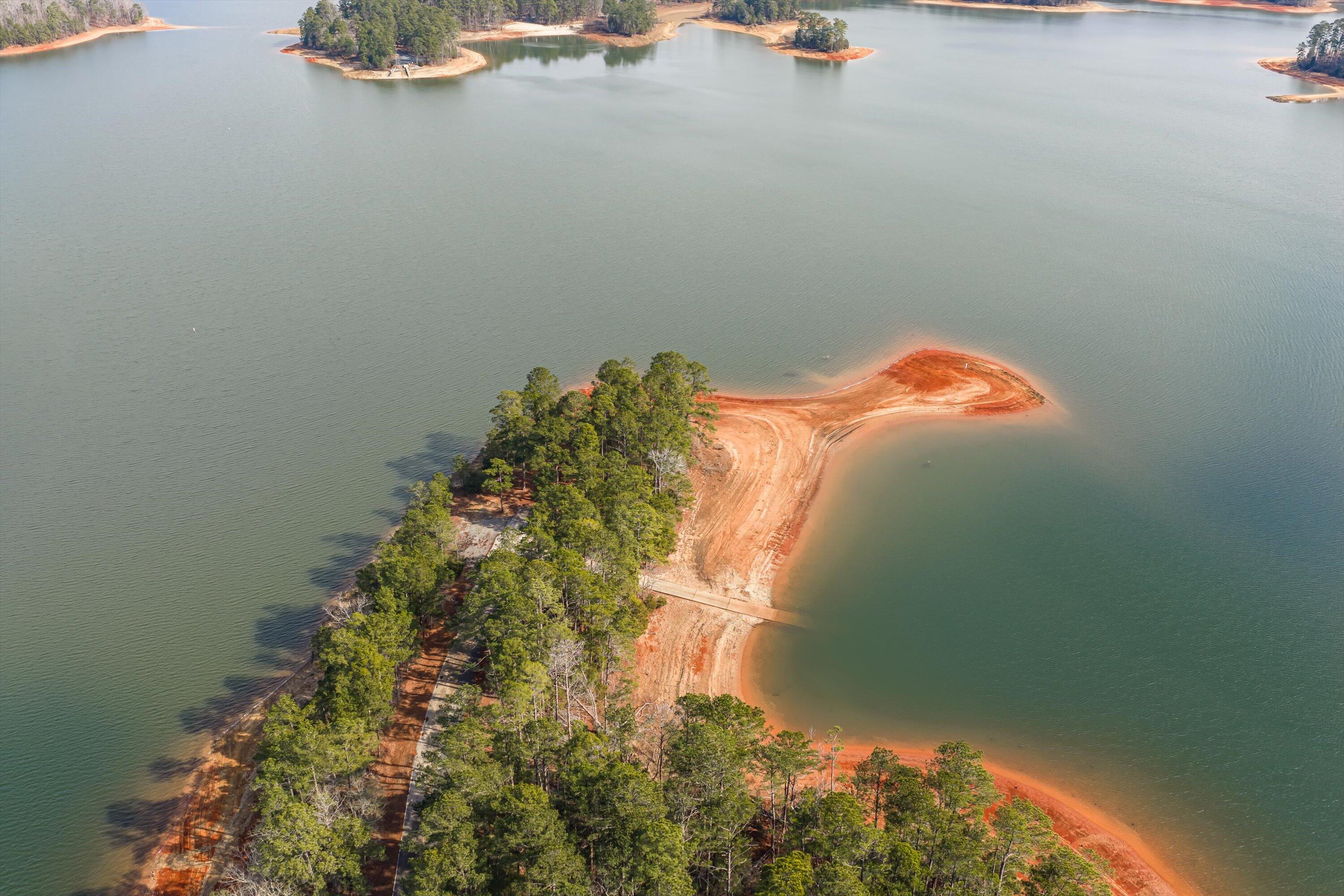 5977 Rousseau Creek Road Thomson, GA 30824 - Photo 29 of 37 11-DJI_20260123132215_0031_D-HDR
