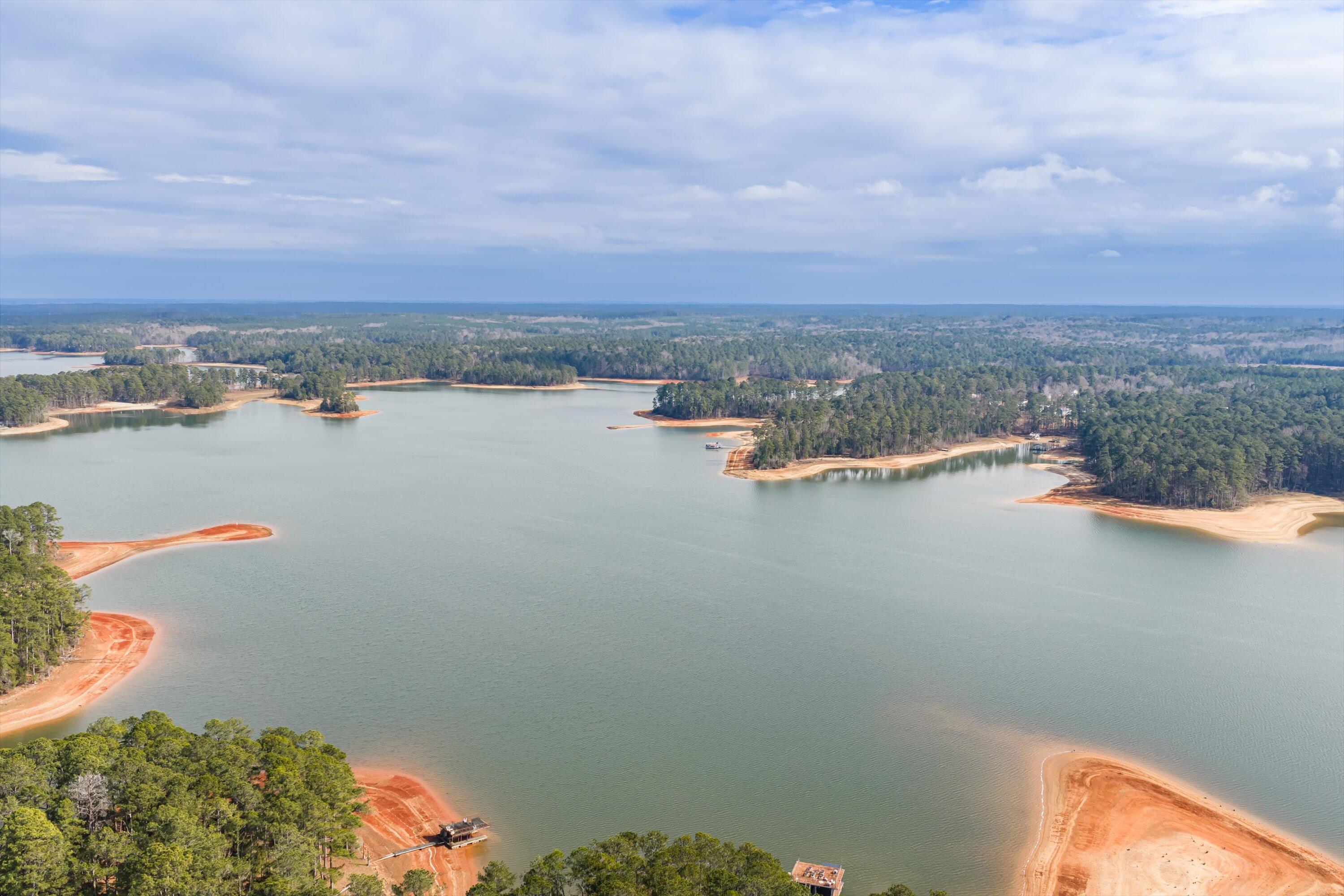 5977 Rousseau Creek Road Thomson, GA 30824 - Photo 32 of 37 13-DJI_20260123132304_0037_D-HDR