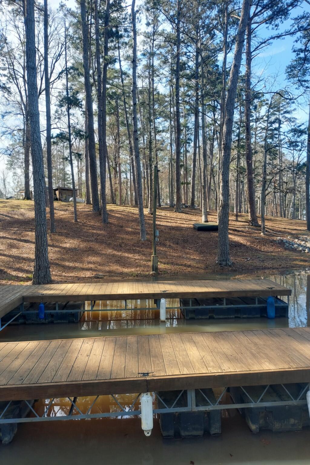 5977 Rousseau Creek Road Thomson, GA 30824 - Photo 33 of 37 Lakeside dock with forest backdrop