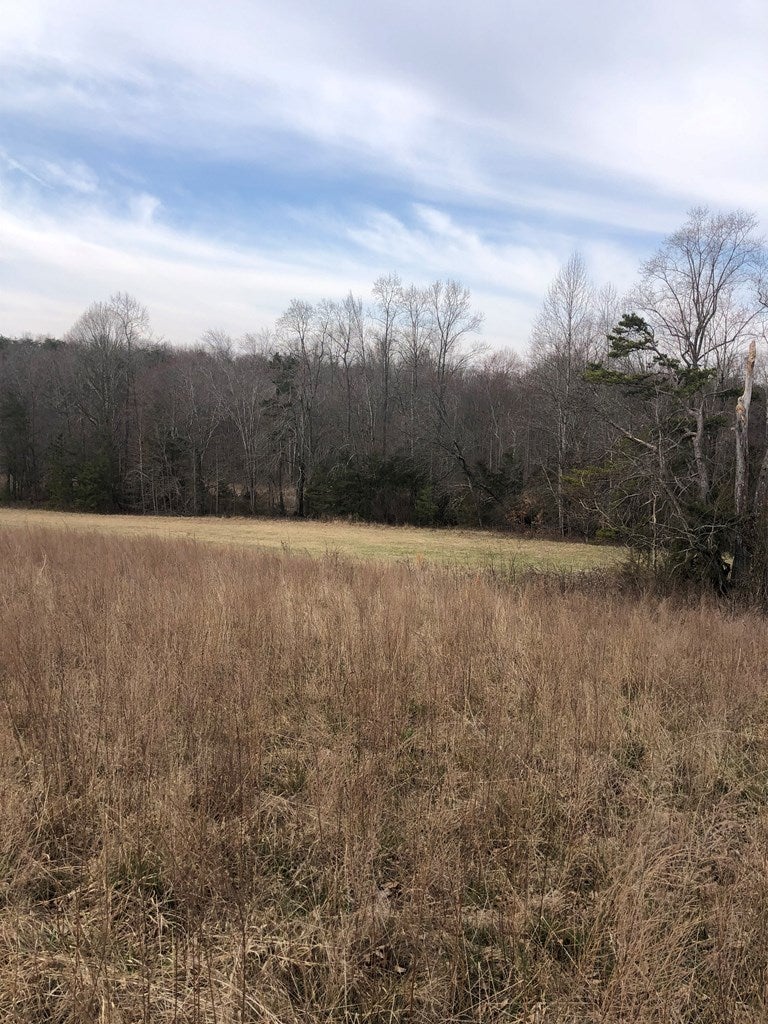 White Tail Road, Unit 1 Concord, VA 24538 - Photo 2 of 4 Gallery Image 2